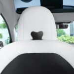 Model Y Coat Hooks