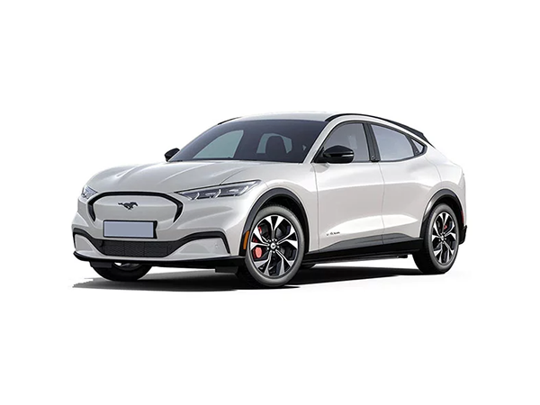 Mustang Mach-E Accessories