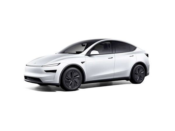 Model Y Accessories