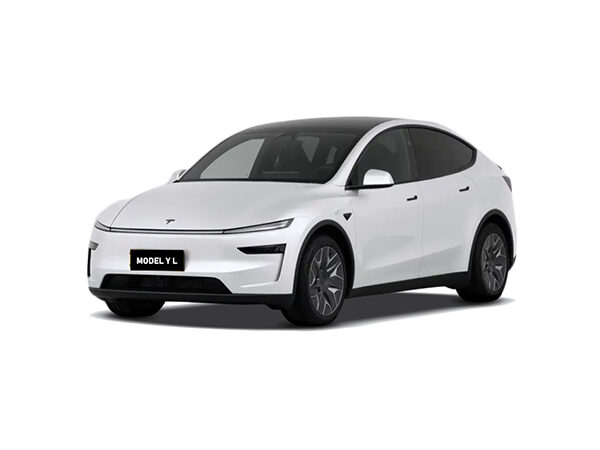 Model Y L