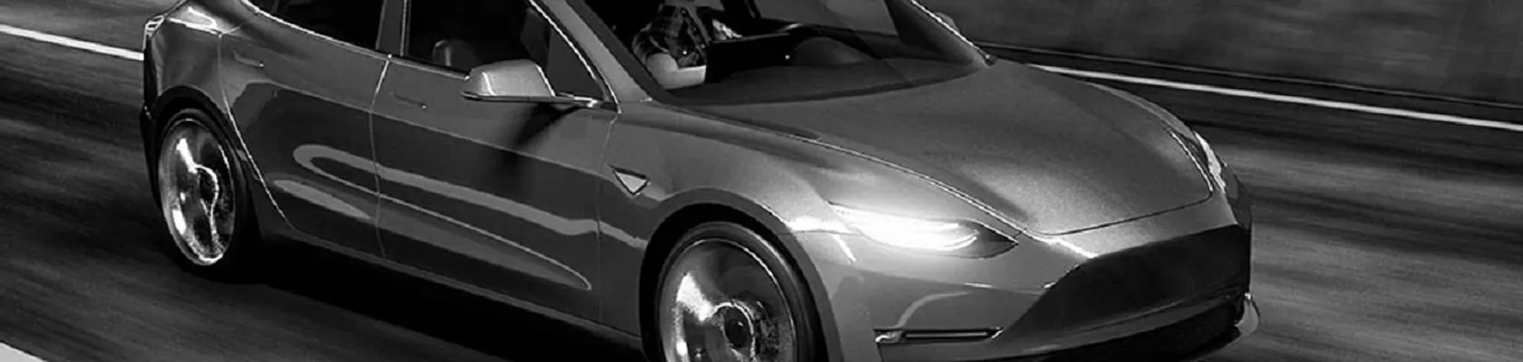 Tesla Model 3 & Y CCS Port Dust Cap