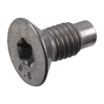 Renault Zoe, Kangoo, Master & E-Tech Brake Disc Bolt – M8 x 1.25 Torx